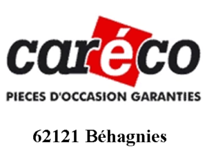 Logo_Careco_V2